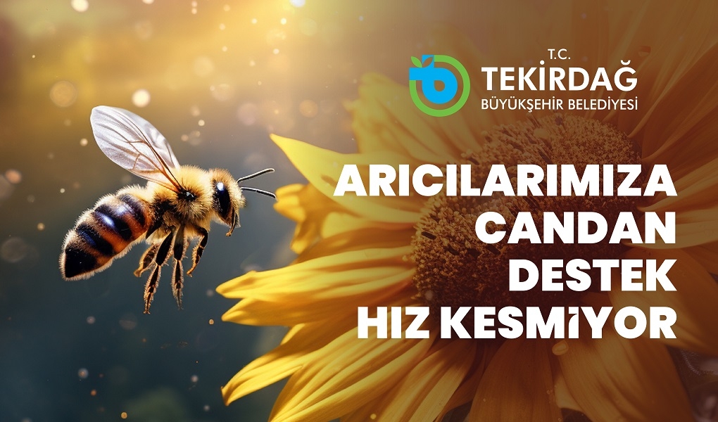 ARICILARIMIZA CANDAN DESTEK; ARI YAŞAM GÜCÜ PROJESİ İÇİN BAŞVURULAR BAŞLADI