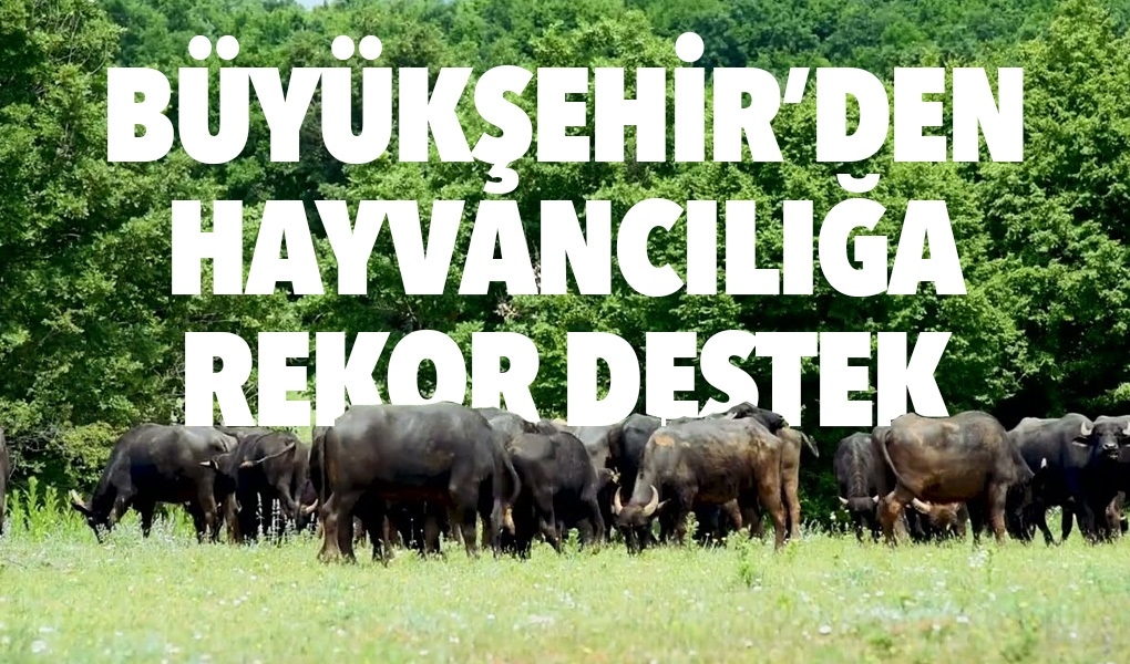 TEKİRDAĞ BÜYÜKŞEHİR BELEDİYESİ'NDEN HAYVANCILIĞA REKOR DESTEK
