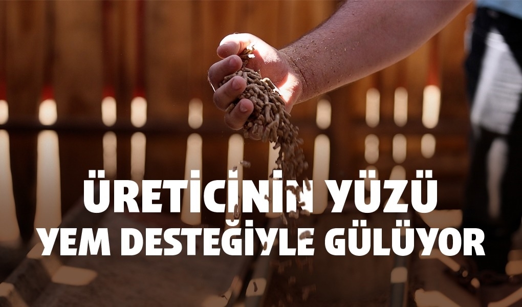 Üreticinin Yüzü Yem Desteğiyle Gülüyor