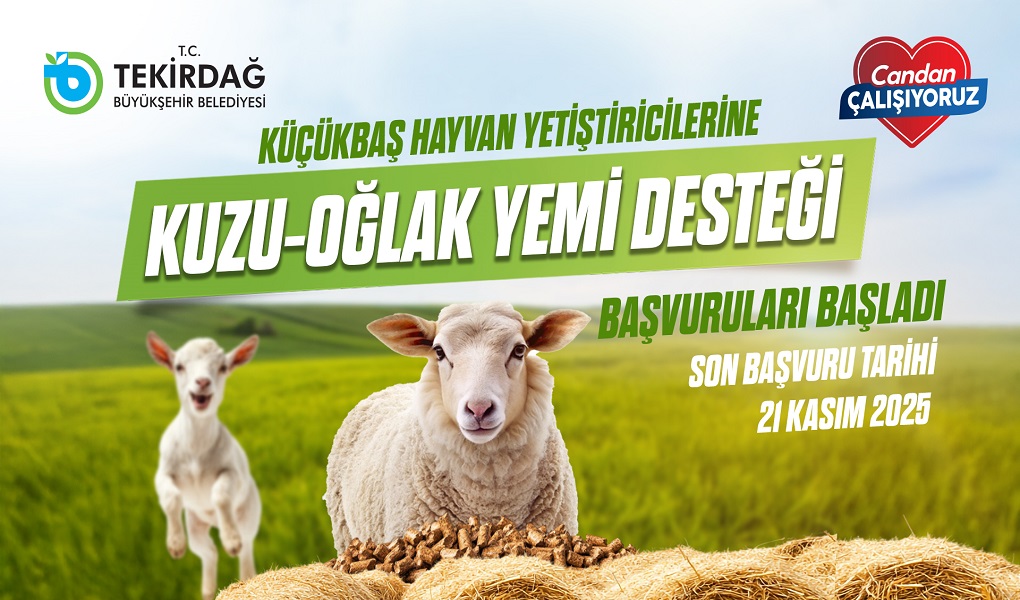 KÜÇÜKBAŞ HAYVAN YETİŞTİRİCİLERİNE KUZU-OĞLAK YEM DESTEĞİ BAŞVURULARI BAŞLADI