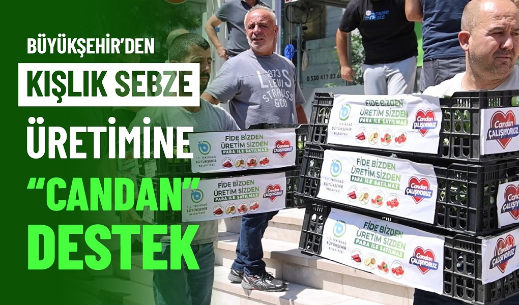 BÜYÜKŞEHİR'DEN KIŞLIK SEBZE ÜRETİMİNE 