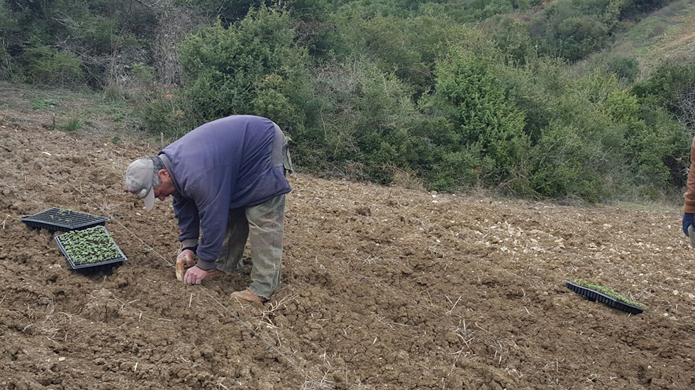 Tekirdağ Büyükşehir Belediyesi