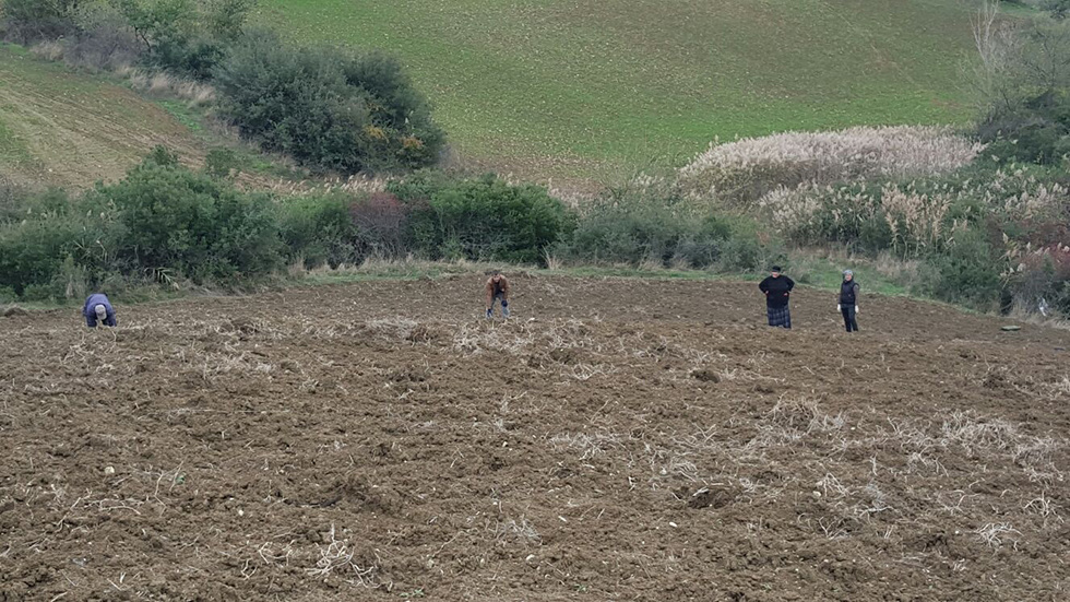 Tekirdağ Büyükşehir Belediyesi