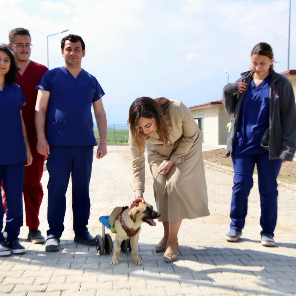 Tekirdağ Büyükşehir Belediyesi